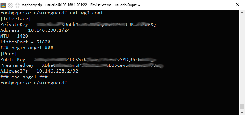 WireGuard
